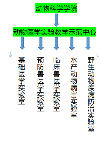 2024澳门原材料1688.1688