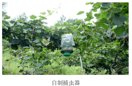 2024澳门原材料1688.1688