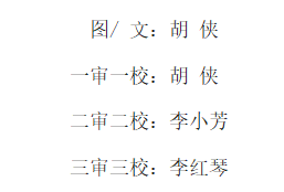 2024澳门原材料1688.1688