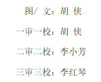 2024澳门原材料1688.1688