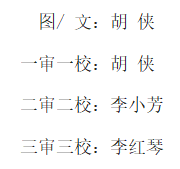 2024澳门原材料1688.1688
