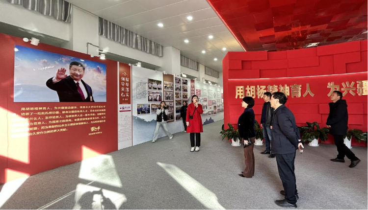 图片4