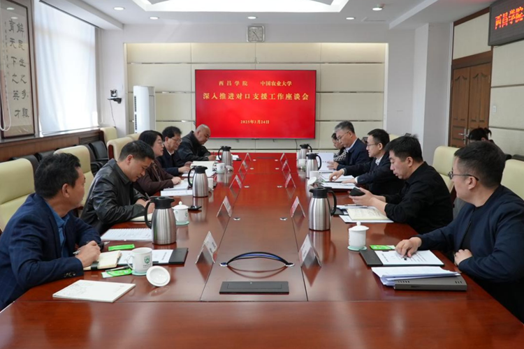 图片6